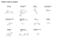 Inhibitors of glucose oxidation PPT Slide