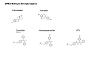 GPR30 estrogen receptor ligand PPT Slide