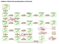 Inhibitors of steroid hormone biosynthesis and function PPT Slide