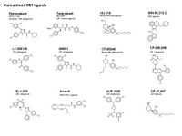 Cannabinoid CB1 ligands PPT Slide