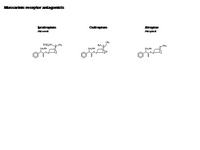 Muscarinic receptor antagonists PPT Slide