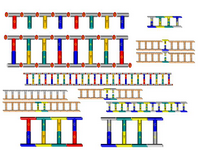 A DNA Toolkit 2 PPT Slide