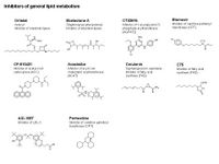 Lipid synthesis inhibitors PPT Slide