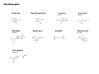Alkylating agents in cancer PPT Slide
