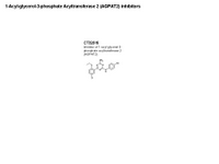 AGPAT2 inhibitors PPT Slide