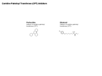CPT inhibitors PPT Slide