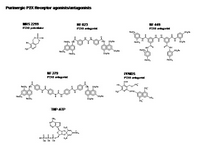 Purinergic P2X Receptor agonists-antagonists PPT Slide
