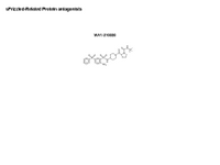 sFrizzled-Related protein antagonists PPT Slide