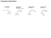 Phospholipase D inhibitors PPT Slide