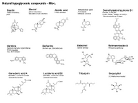 Natural hypoglycemic compounds - Misc PPT Slide