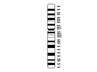 Chromosome 2 PPT Slide