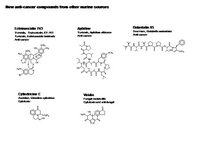 Compounds from other marine sources PPT Slide