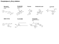 Phospholipase PLA2 inhibitors PPT Slide
