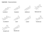Triterpenoids - sterols PPT Slide