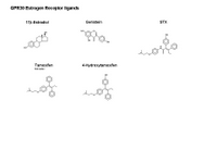 GPR30 estrogen receptor ligands PPT Slide