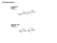Plant polysaccharides I PPT Slide