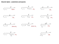 A bioactive lipid toolkit - leukotrienes PPT Slide