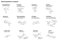 Natural hypotensive compounds PPT Slide