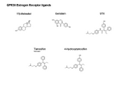 GPR30 Estrogen Receptor ligands PPT Slide
