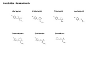 Pesticides - neonicotinoids PPT Slide