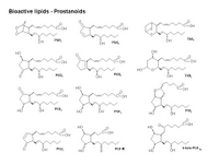 A bioactive lipid toolkit - prostanoids PPT Slide