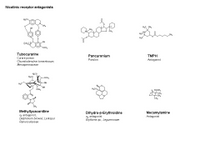 Nicotinic receptor antagonists PPT Slide