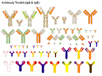 An Antibody Toolkit PPT Slide