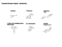 Dopamine Receptor ligands - Nonselective PPT Slide