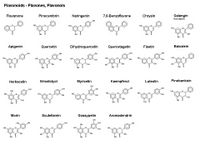 Flavonoids - flavones and flavonols PPT Slide