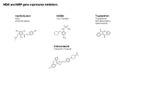 MDR and MRP gene expression inhibitors PPT Slide
