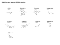 GABA Receptor ligands - GABA-A selective PPT Slide