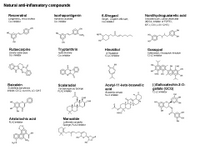 Natural anti-inflammatory compounds PPT Slide