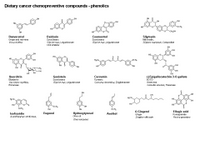 Cancer chemopreventive compounds - phenolics PPT Slide