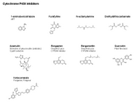 Cytochrome P450 inhibitors PPT Slide