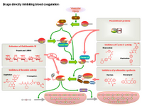 Drugs directly inhibiting blood coagulation PPT Slide