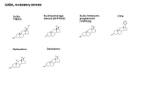 GABA-A modulatory steroids PPT Slide