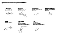 Pyrimidine nucleotide biosynthesis inhibitors PPT Slide