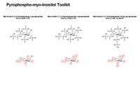 A Pyrophospho-myo-inositol Toolkit PPT Slide
