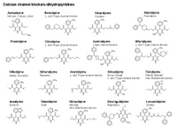Calcium channel blockers - dihydropyridines PPT Slide