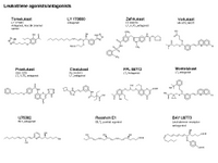 Leukotriene agonists-antagonists PPT Slide