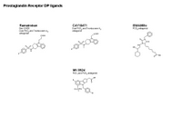 Prostaglandin Receptor DP ligands PPT Slide