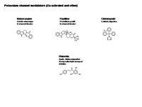 Potassium channel modulators - Ca-activated and other PPT Slide