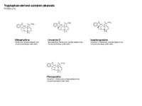 Tryptophan - derived pentacyclic oxindoles PPT Slide