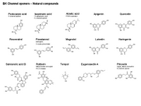 BK Channel openers - Natural compounds PPT Slide