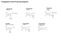 Prostaglandin Receptor FP ligands PPT Slide
