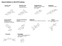 Natural inhibitors of JAK-STAT pathway PPT Slide