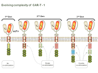 Evolving complexity of  CAR-T - 1 PPT Slide