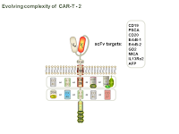 Evolving complexity of  CAR-T - 2 PPT Slide