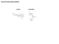 Polo-like kinase inhibitors PPT Slide