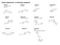 Beta adrenergic antagonists PPT Slide